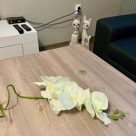 ,,адела”-апартамент за гости شقة فيلينغراد