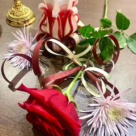 ,,адела”-апартамент за гости * فيلينغراد